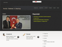 Tablet Screenshot of mehmetomurtag.com